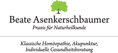 HP Beate Asenkerschbaumer